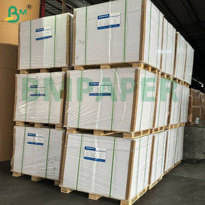 70gm 80gm การพิมพ์ความเร็วสูงกระดาษสีขาวไม่มีไม้ สําหรับหนังสือฝึก