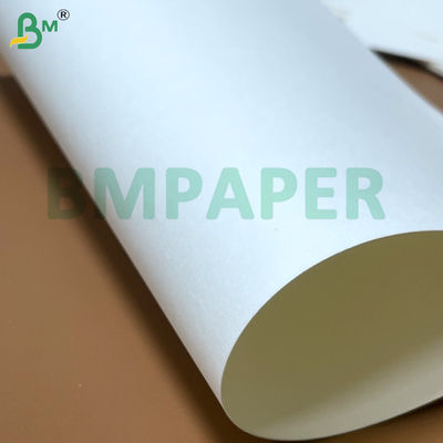 ป้ายกระดาษปลาปลาปลาปลาปลาปลาปลา 700mm x 1000mm 200g + 20g PE