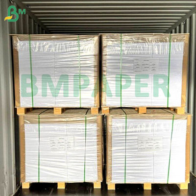 ป้ายกระดาษปลาปลาปลาปลาปลาปลาปลา 700mm x 1000mm 200g + 20g PE