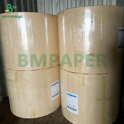 250 กรัม 300 กรัม พลาสติกไร้น้ํา ถ้วยกระดาษ ถ้วยกระดาษทําจากเส้นใยไม้ยาง 100%