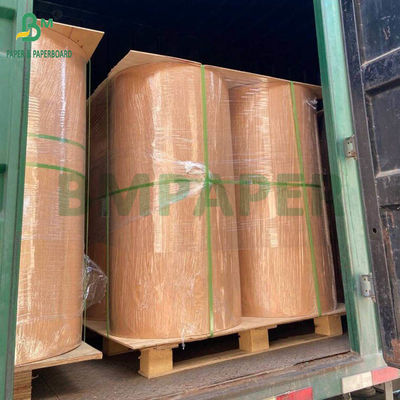 260 กรัม 280 กรัม + 10 กรัม กระดาษเคลือบน้ําที่สามารถบีโอสลายได้ ไม่มีพลาสติก สําหรับถ้วย