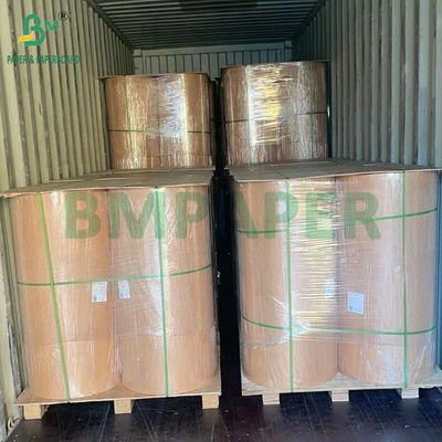 260 กรัม 280 กรัม + 10 กรัม กระดาษเคลือบน้ําที่สามารถบีโอสลายได้ ไม่มีพลาสติก สําหรับถ้วย
