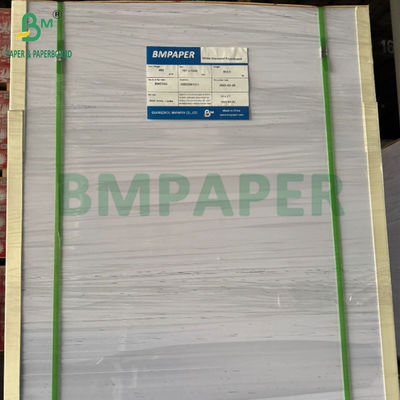 240 กรัม + 15PE ผิวเคลือบ 1 ด้าน กระดาษ Cupstock สําหรับถ้วยดื่ม 31 x 43 นิ้ว กันน้ํา 100%