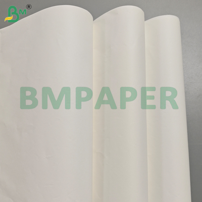 แผ่นกระดาษรองคั่นเคลือบสารกันเชื้อรา 40GSM