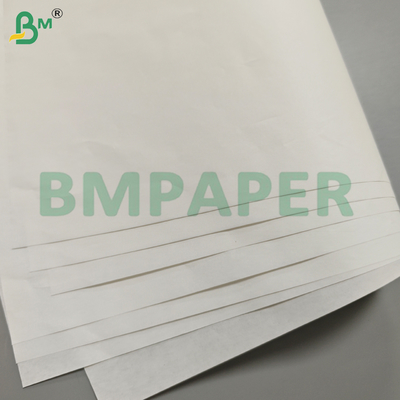 แผ่นกระดาษรองคั่นเคลือบสารกันเชื้อรา 40GSM