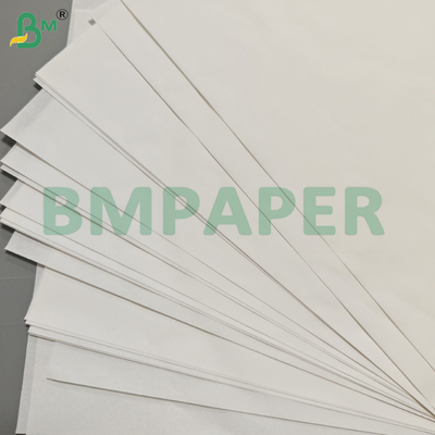 แผ่นกระดาษรองคั่นเคลือบสารกันเชื้อรา 40GSM