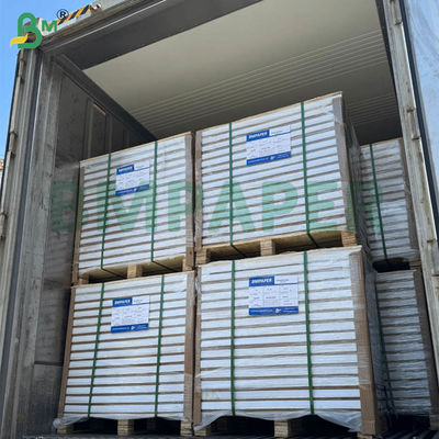 กระดาษสำเนาในตัวแบบไม่มีคาร์บอน 55 แกรม 60 แกรม แบบเปล่า แผ่นยาว 70x100 ซม. 61x86 ซม.