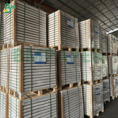 กระดาษสำเนาในตัวแบบไม่มีคาร์บอน 55 แกรม 60 แกรม แบบเปล่า แผ่นยาว 70x100 ซม. 61x86 ซม.