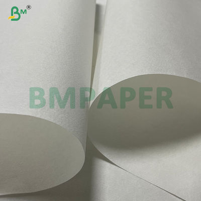 25g Natural White  High Porosity Coffee Filter Paper 600mm In Roll