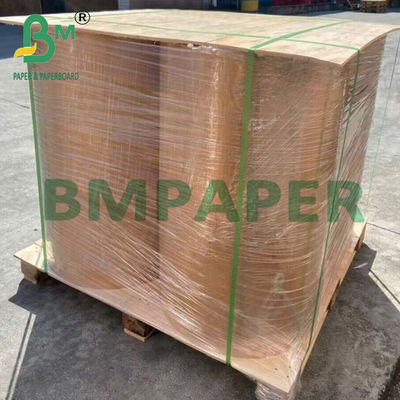 กระดาษอบกันไขมันสีสันสดใสเกรดอาหาร 40 กรัม สำหรับรองถ้วยคัพเค้ก มัฟฟิน