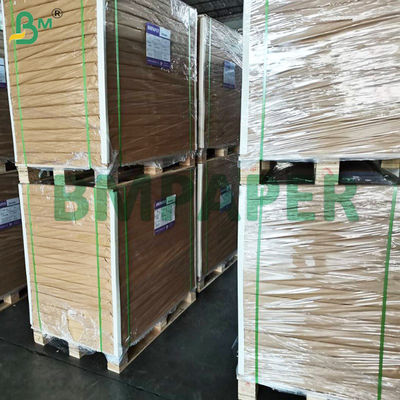 กระดาษ Cupcake Liner สําหรับถ้วยอบ ไม่มีกลิ่นไขมัน - กระดาษ Muffin Liner Proof