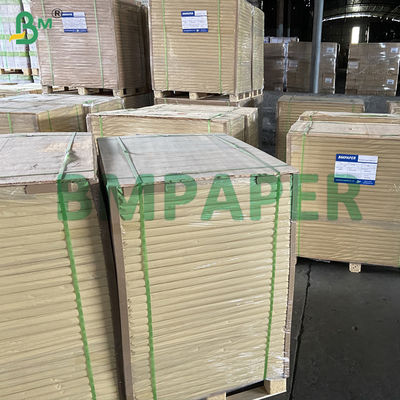 Oven Silicone Paper Water & Oil Resistant Baking Paper For Biscuits