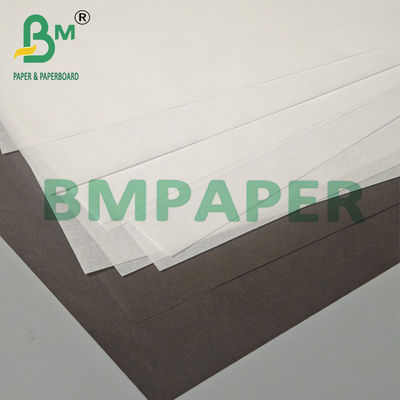 Heat Resistant Oil Proof Colored Muffin Cupcake Liner Paper for Baking Cup