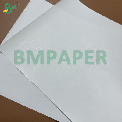 65gsm White Thermal Paper Jumbo Rolls BPA Free Blue Image Receipt Paper 405mm