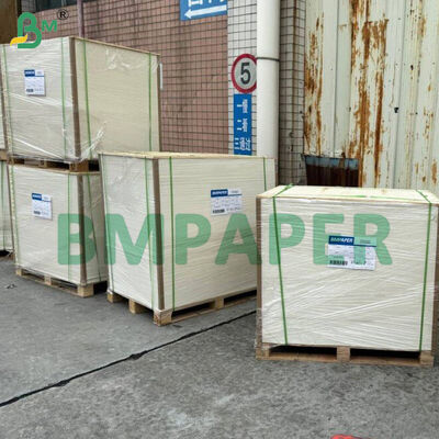 กระดาษอาหารและกระดาษจานพิเศษ / กระดาษจาน PET