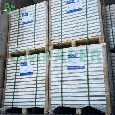 ม้วนกระดาษอาร์ต C2S เคลือบมันสองด้าน 210 แกรม ขนาด 31*43 นิ้ว