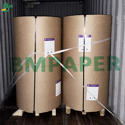 Unbleached & Bleached Silicone Cookie Sheet Liner Paper 40gsm 45cm Roll