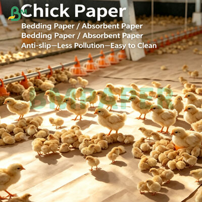 เครื่องเคลือบ Kraft Liner ที่มีความแข็งแกร่งสําหรับการปลูกนกน้อย