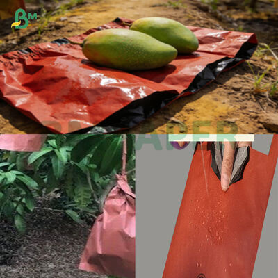 Waterproof Anti-pest Mango Cultivation Bag Paper 56gsm Red Anti Sunburn 