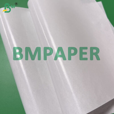 PE White Paper Rolls 100cm Width 120cm Dia, 35gsm + 6g Coating One Side