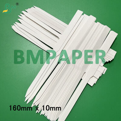 สายกระดาษทดสอบกลิ่นหอมสีขาว บอร์ดซึม 160mm X 10mm 170mm X 9mm