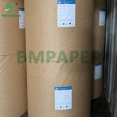 Greaseproof Double Sided Coated Silicone Parchment Paper 38gsm 40gsm for Cooking